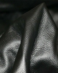 diamond-dogs Wool Jacket